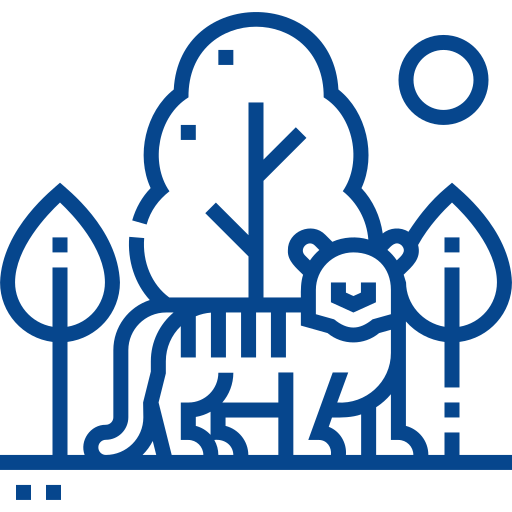 Yaban Hayatı Gözlemciliği